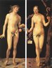 Pintura de Albrecht Drer (14711528) - \