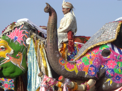 Elefantes no festival Lahtmar Holi.  Na ndia, entre fevereiro e maro, a chegada da primavera  recebida com uma festa multicolorida e um ritual religioso hinduista da celebrao da vitria entre o bem e o mal. . E  o nico dia em que todas as castas podem se juntar. <br><br>
Palavras-chave: ndia, primavera, festa, ritual, religioso, hinduista, cores, tradio, Lahtmar Holi, Festival das Cores, castas