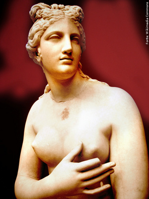 
Afrodite (em grego antigo Ἀφροδίτη) , na mitologia grega, a deusa do amor , a luxria , a beleza , a sexualidade e reproduo . Embora muitas vezes se refere a ele na cultura moderna como 