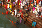 Hindus se banham nas guas geladas dos rios Ganges e Yamuna durante festival religioso Maha Kumbh Mela, o maior do mundo. <br> <br> Palavras-chave: ndia, festival, ritual, cerimnia, purificao, hindu, hindusmo, lugar sagrado, maha kumbh mela, rito, celebrao, Ganges, Yamuna, sadhus